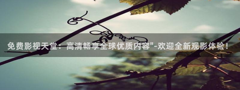 97午夜看片