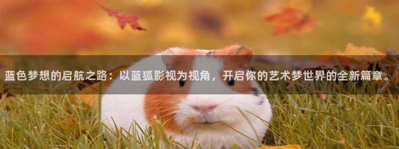 最近神马午夜影院