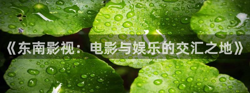 午夜伦理手机影院