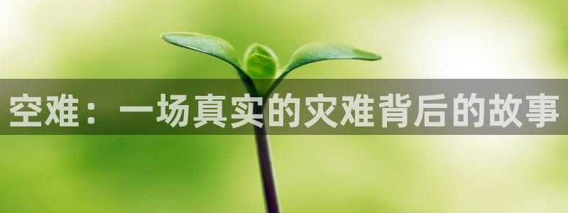 欧美日韩中文字幕午夜在线