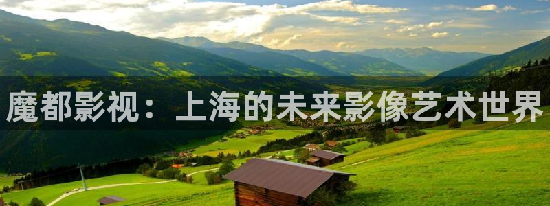 飘花影院午夜片