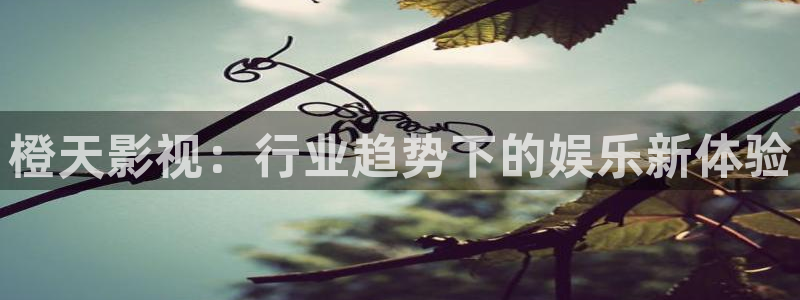 精品午夜在线一区二区三区：橙天影视：行业趋势下的娱乐新体验