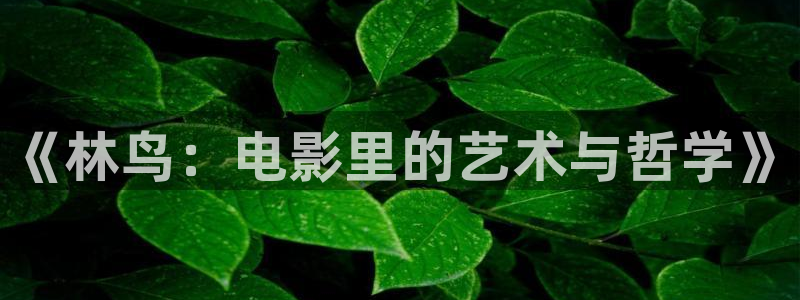 午夜少妇电影：《林鸟：电影里的艺术与哲学》