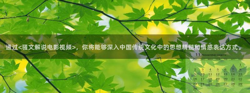 影院在线观看午夜：通过<骚文解说电影视频>，你将能够深入中国传统文化中的思想精髓和情感表达方式。