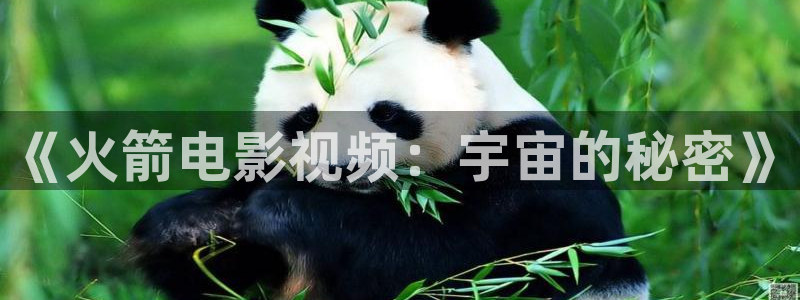 潦草影视午夜片：《火箭电影视频：宇宙的秘密》
