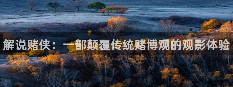 免费在线观看午夜影院：解说赌侠：一部颠覆传统赌博观的观影体验