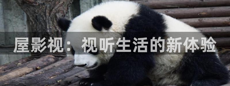 福利午夜电影在线观看：屋影视：视听生活的新体验