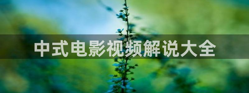 午夜电影免费在线看：中式电影视频解说大全