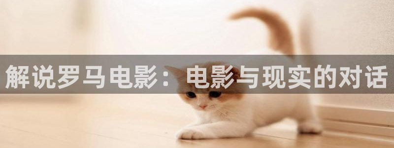 午夜理论免费观看片
