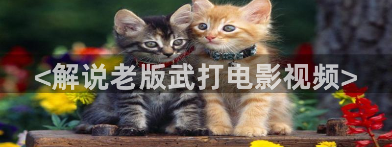 午夜在线直播