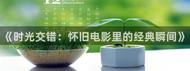 午夜爽片在线播放