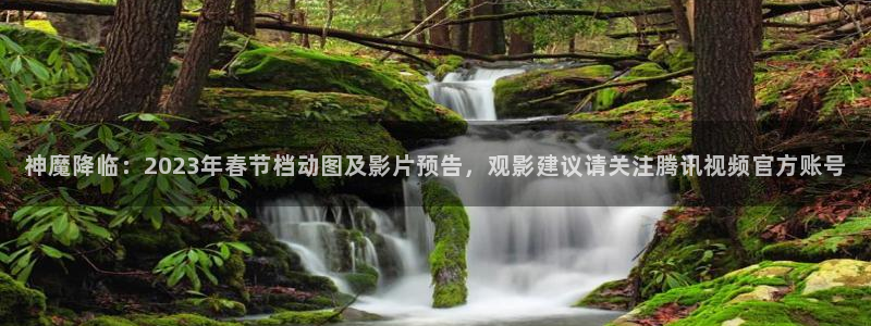 澳门午夜影视