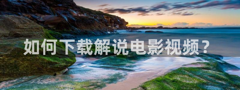 日本午夜在线视频