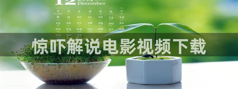 成人午夜电影伦理