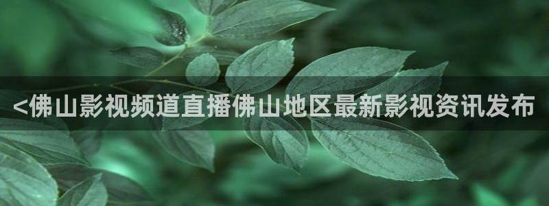 午夜伦伦电影理论片在线播放