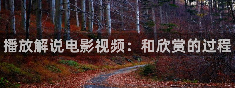 午夜播放