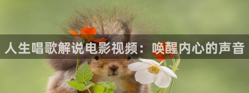 电视剧午夜蝴蝶在线观看