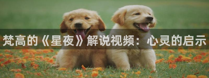 女人午夜精品久久久久久毛片天堂影视