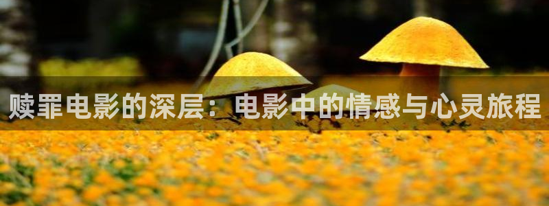 神马福利影院午夜：赎罪电影的深层：电影中的情感与心灵旅程