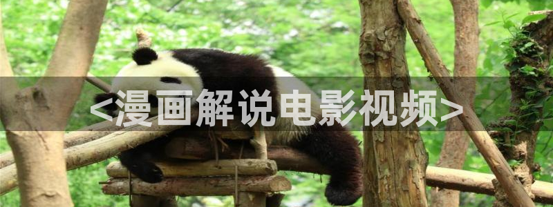 午夜电影你懂得：<漫画解说电影视频>