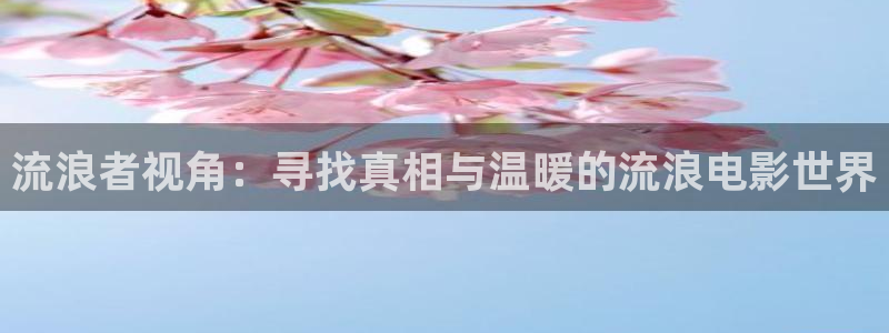 飘花影院午夜版：流浪者视角：寻找真相与温暖的流浪电影世界