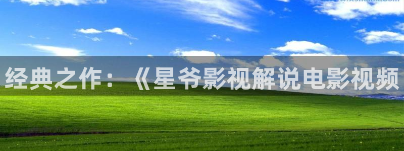 91午夜影院：经典之作：《星爷影视解说电影视频