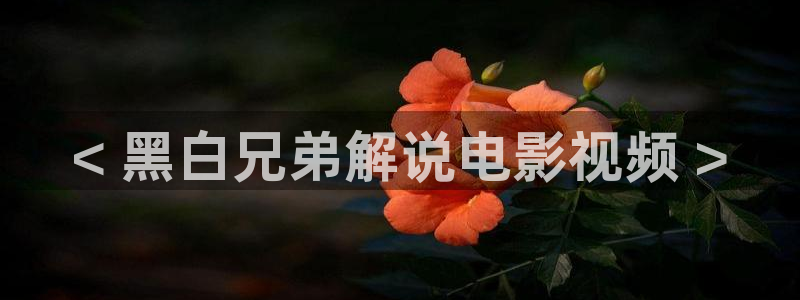 午夜韩国理伦电影：< 黑白兄弟解说电影视频 >