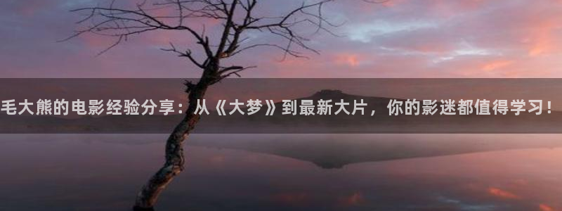 午夜单人影院：毛大熊的电影经验分享：从《大梦》到最新大片，你的影迷都值得学习！
