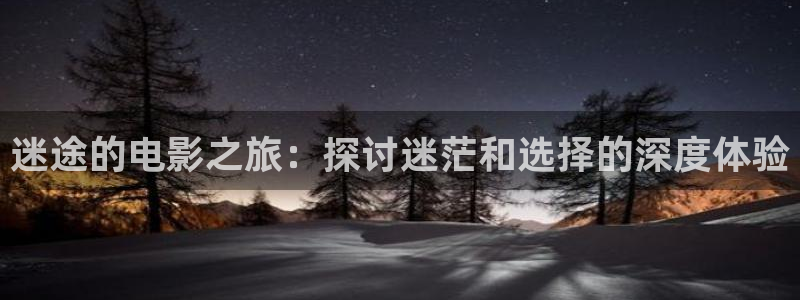 午夜伦理免费影院：迷途的电影之旅：探讨迷茫和选择的深度体验