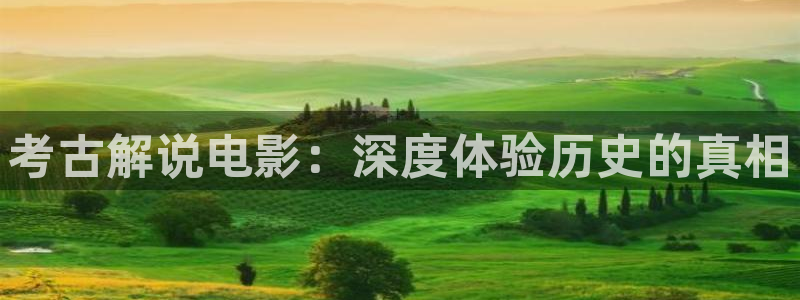 福利社午夜影院线上免费观看：考古解说电影：深度体验历史的真相