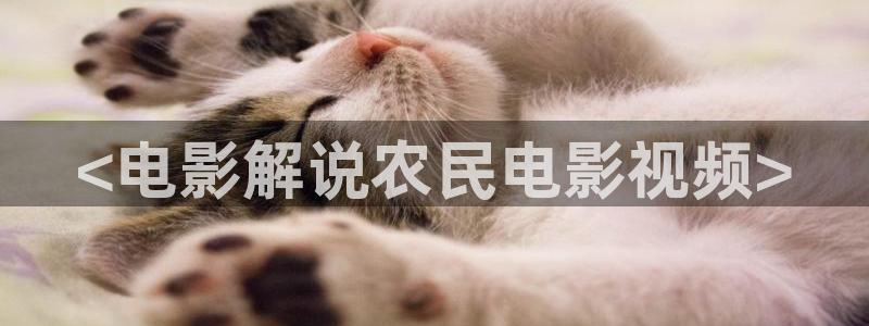 久久午夜精品电影：<电影解说农民电影视频>