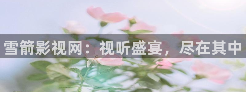 欧美午夜免费高清在线观看：雪箭影视网：视听盛宴，尽在其中