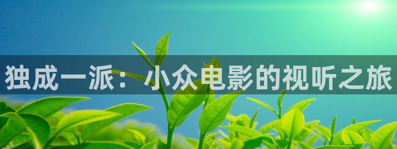 午夜成午夜成年片在线观看：独成一派：小众电影的视听之旅