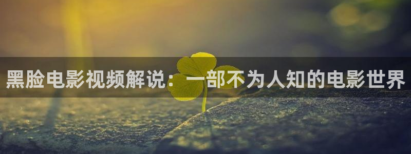 91午夜影院网：黑脸电影视频解说：一部不为人知的电影世界