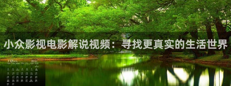 日本午夜影视免费看：小众影视电影解说视频：寻找更真实的生活世界