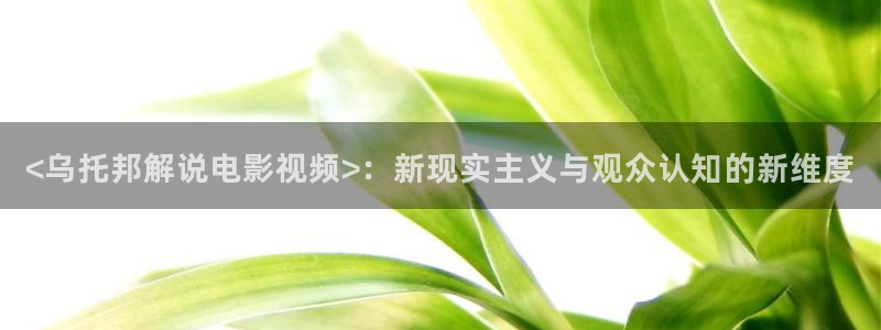 新视觉午夜伦理：<乌托邦解说电影视频>：新现实主义与观众认知的新维度