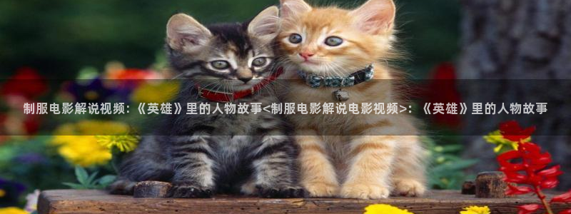 岛国宅男午夜在线影院：制服电影解说视频: 《英雄》里的人物故事<制服电影解说电影视频>：《英雄》里的人物故事