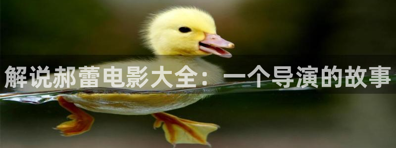 yy6080午夜电影：解说郝蕾电影大全：一个导演的故事