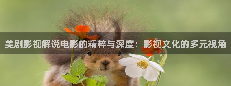 午夜av男人天堂：美剧影视解说电影的精粹与深度：影视文化的多元视角