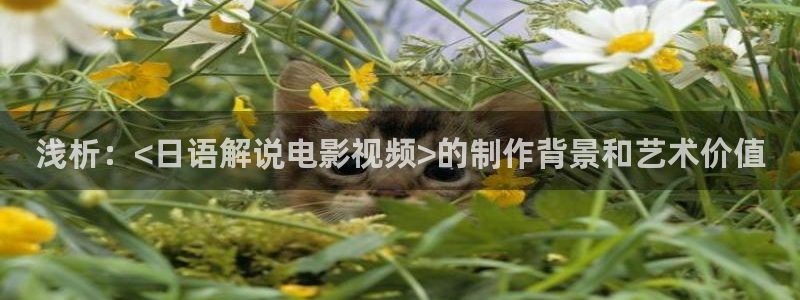 午夜国产影片：浅析：<日语解说电影视频>的制作背景和艺术价值