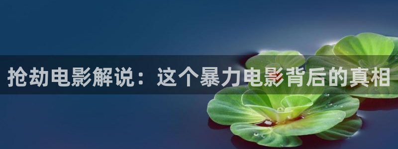 久久久久久久午夜电影：抢劫电影解说：这个暴力电影背后的真相