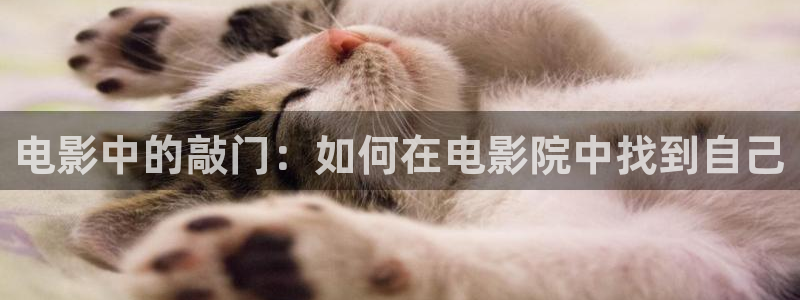 韩国午夜理论剧：电影中的敲门：如何在电影院中找到自己