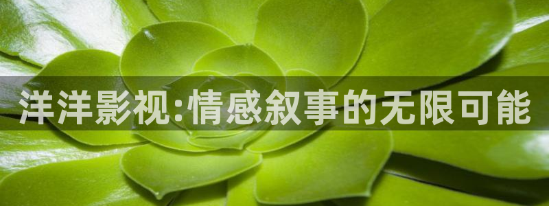 秋霞影院午夜：洋洋影视:情感叙事的无限可能