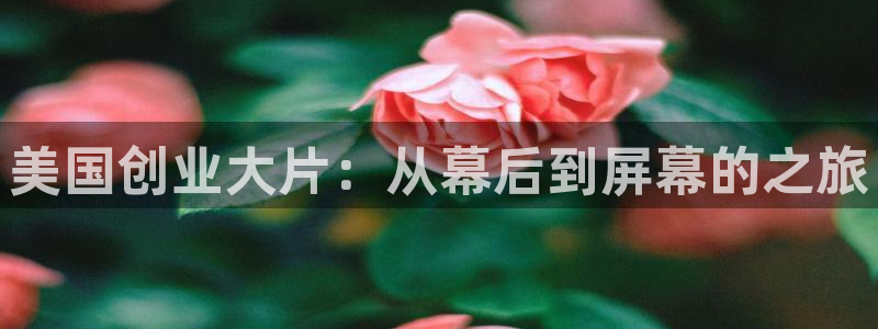 欧美男人午夜影院：美国创业大片：从幕后到屏幕的之旅