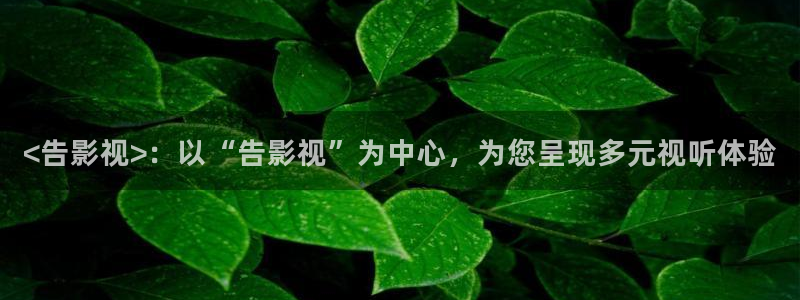 a午夜电影：<告影视>：以“告影视”为中心，为您呈现多元视听体验