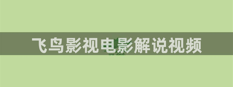 日本午夜理伦片：飞鸟影视电影解说视频