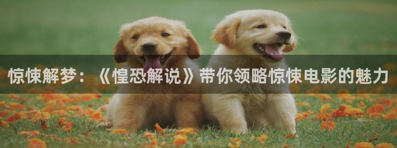 壁咚影院午夜在线观看：惊悚解梦：《惶恐解说》带你领略惊悚电影的魅力