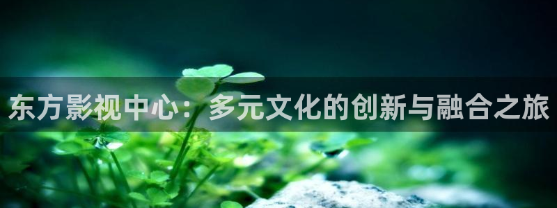 韩国电影理论午夜：东方影视中心：多元文化的创新与融合之旅