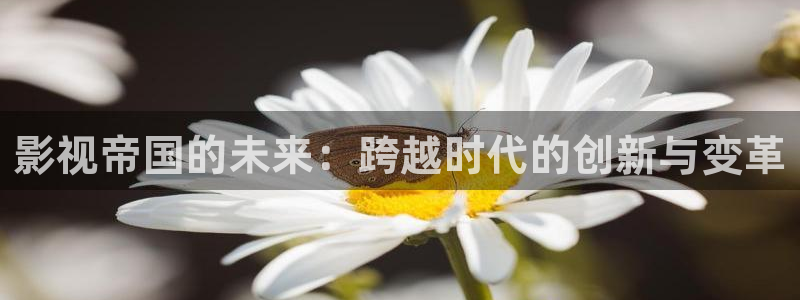 午夜星辰电影院：影视帝国的未来：跨越时代的创新与变革