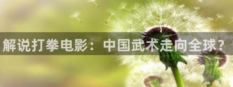 午夜神马不卡影院：解说打拳电影：中国武术走向全球？